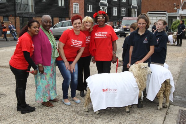 Sheep Driving 2015 - Redhouse Nursing Home