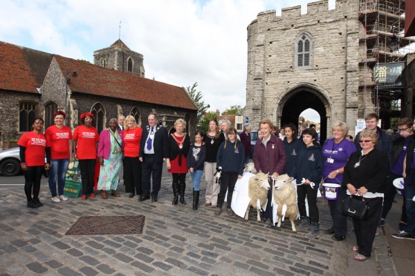 Sheep Driving 2015 - Redhouse Nursing Home