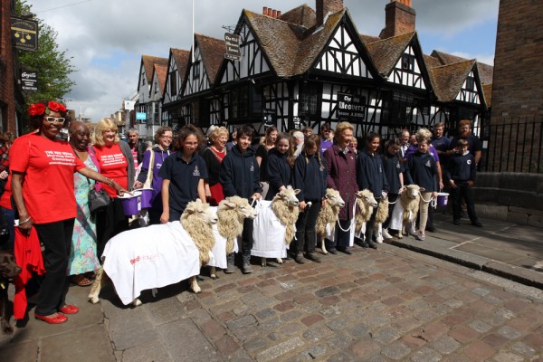 Sheep Driving 2015 - Redhouse Nursing Home