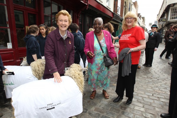 Sheep Driving 2015 - Redhouse Nursing Home