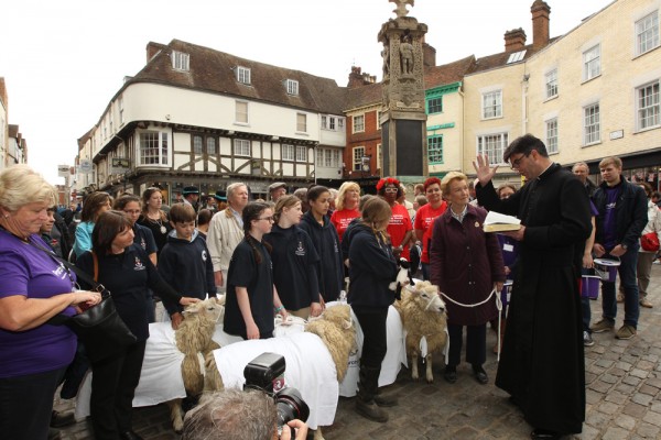 Sheep Driving 2015 - Redhouse Nursing Home